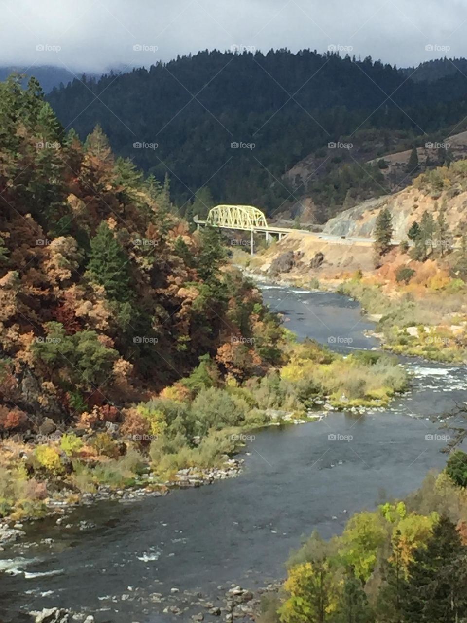 The beautiful Rogue River and Bridge from lookout point