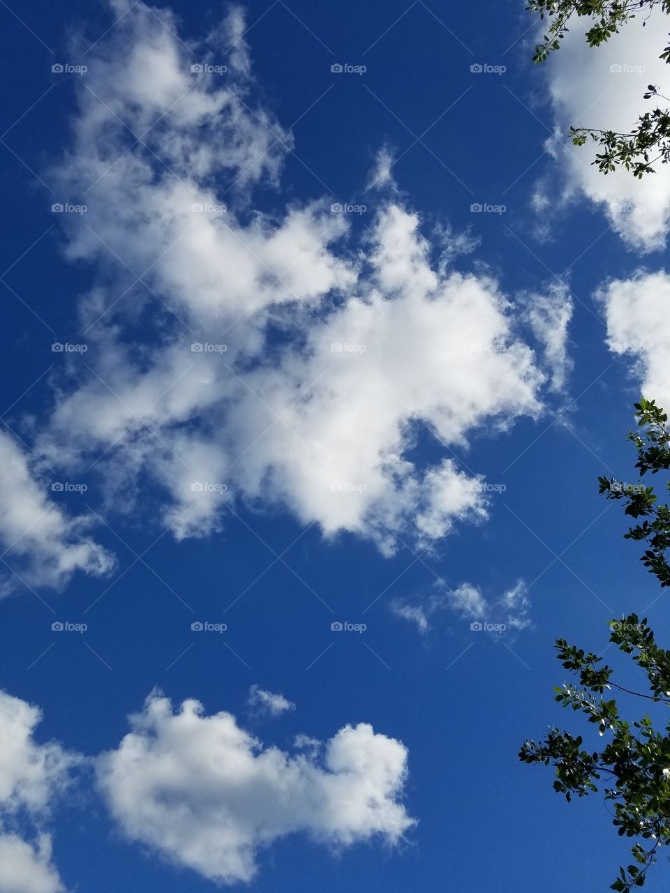 A beautiful day in paradise.