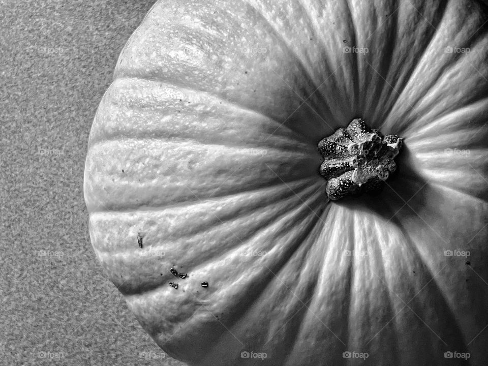 Seasonal pumpkin top view in black and white 