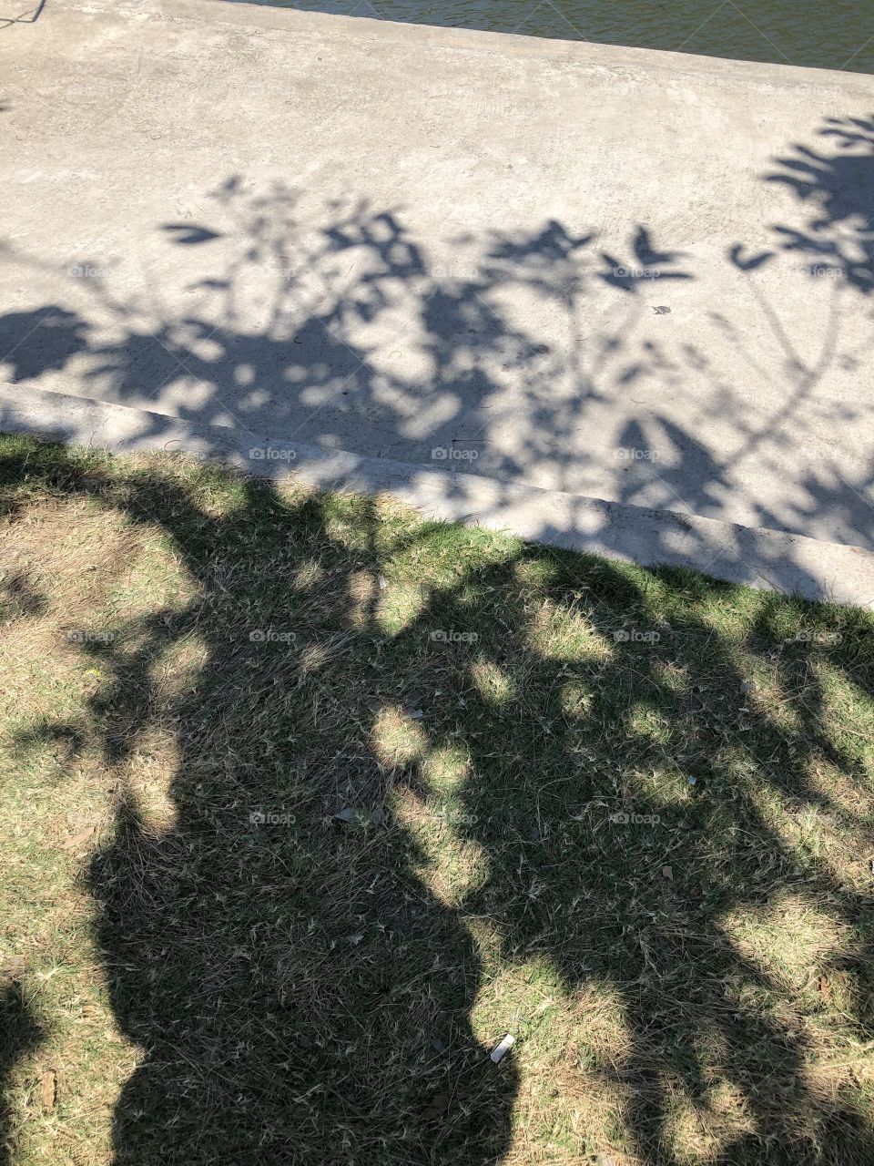 Light and shadow, Countryside ( Thailand)