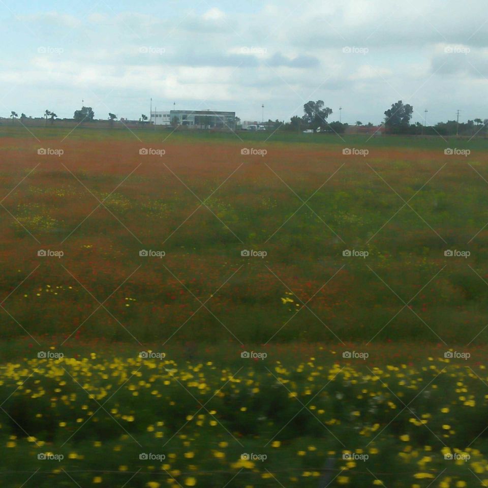 Beautiful countryside in Morocco.