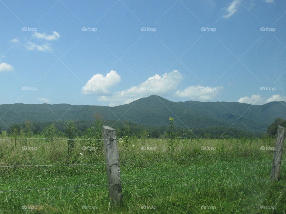 Landscape, Agriculture, No Person, Nature, Sky