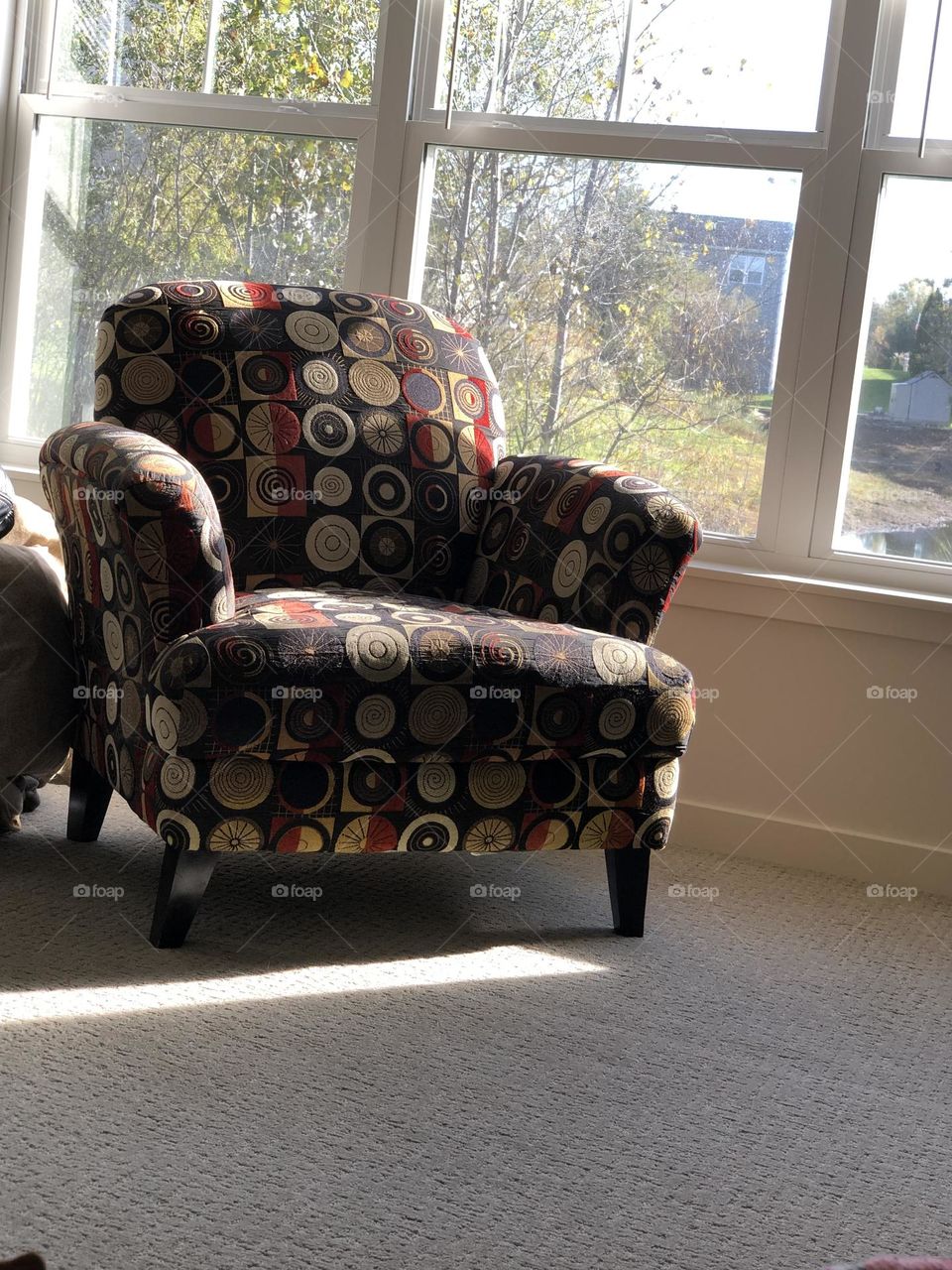 Summer Sun Shines In