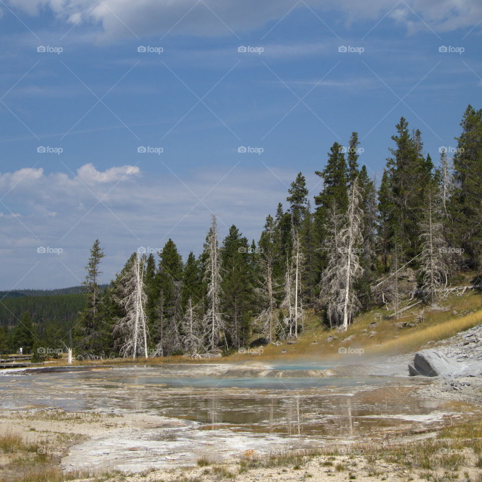 Stunning geology in the unique landscape of Geyser Hill in Yellowstone National Park on a sunny summer day. 