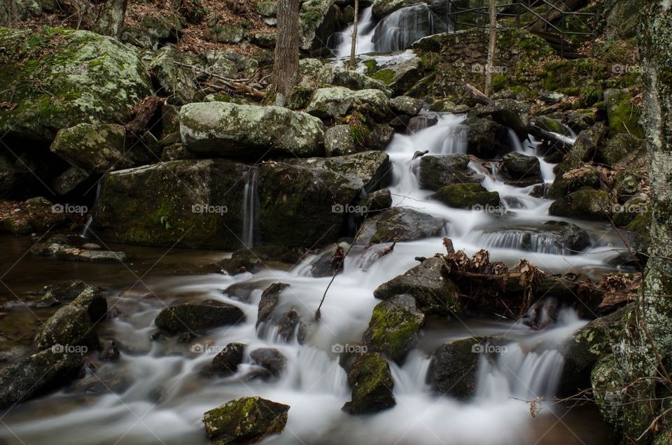 View of waterfall in forest