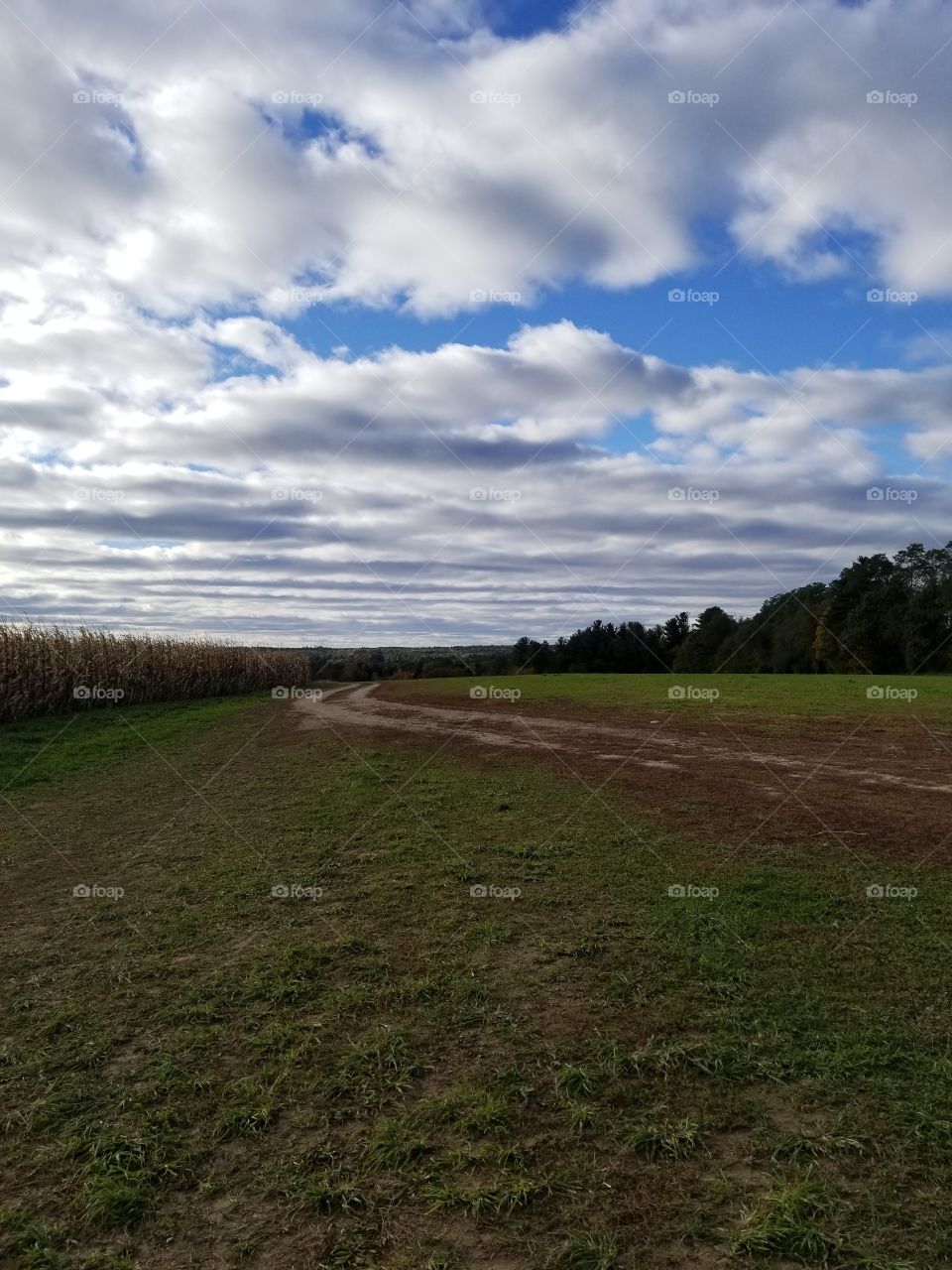 farm clouds