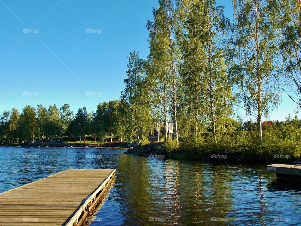 Lake, Water, No Person, Tree, Wood