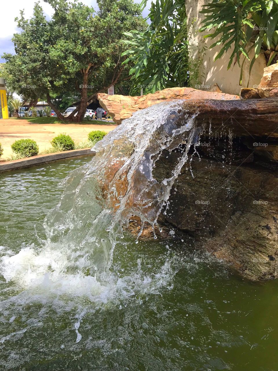 Cascade of ornamental garden