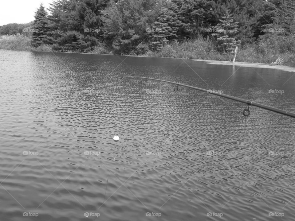 A fun day of fishing