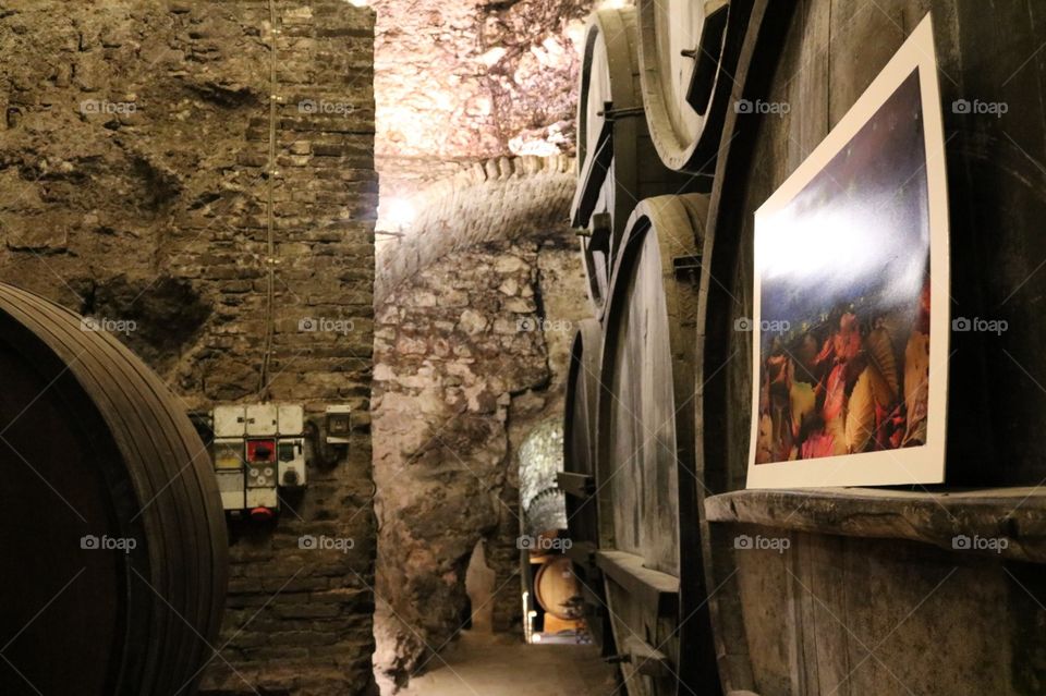 Museo vinicola a metros de profundidade da terra, com seus gigantes barris 