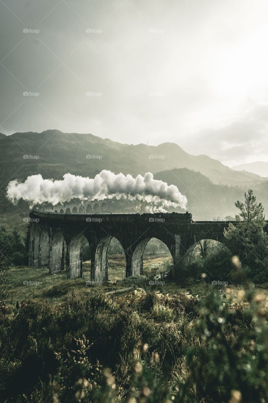 Train running in the bridge