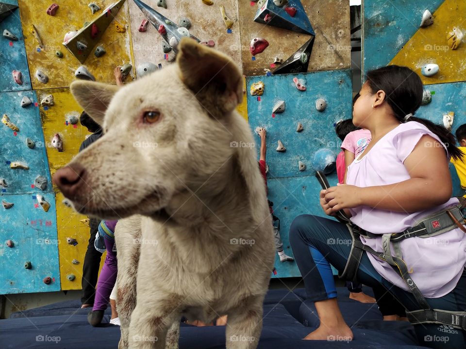 Best friend of kid climber