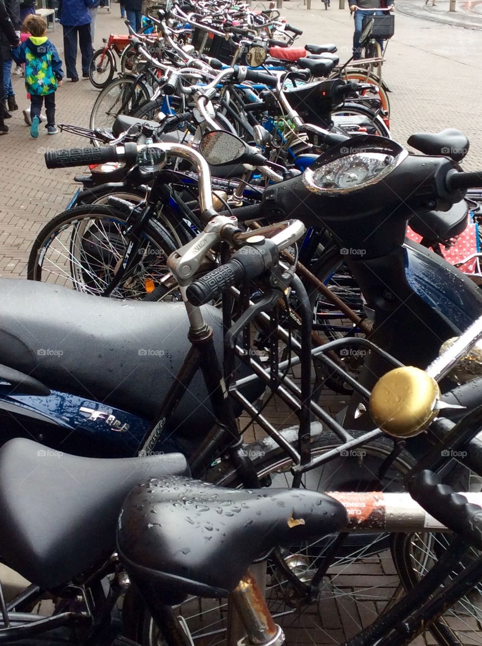 A typical Dutch commute with a bicycle 