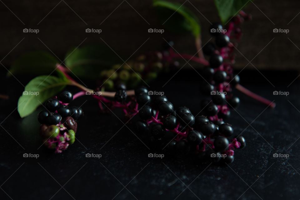 Closeup of purple berries against a dark background 