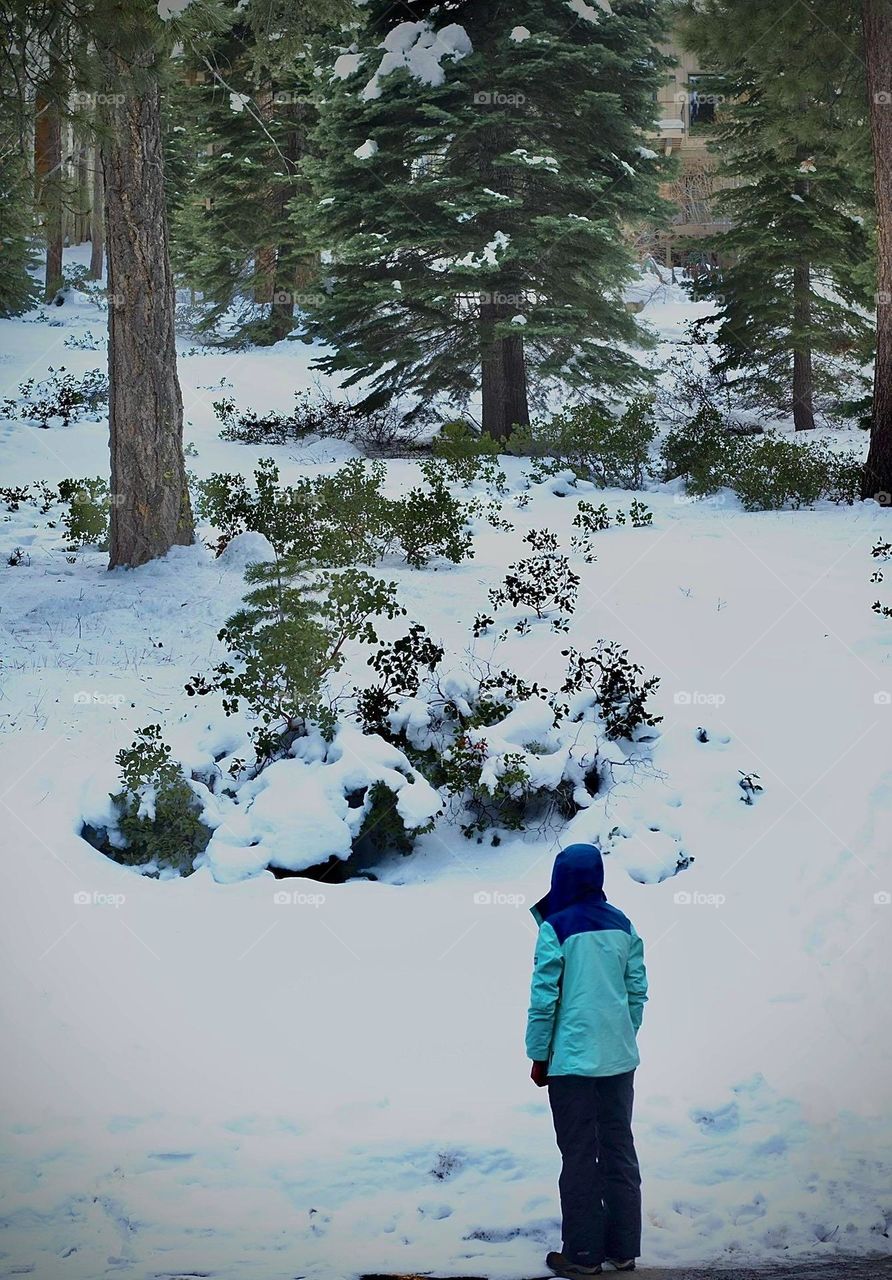 Dramatic snowy portrait.