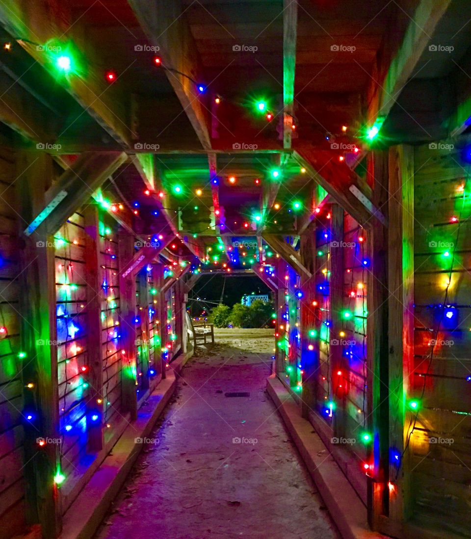 Christmas Lights Tunnel