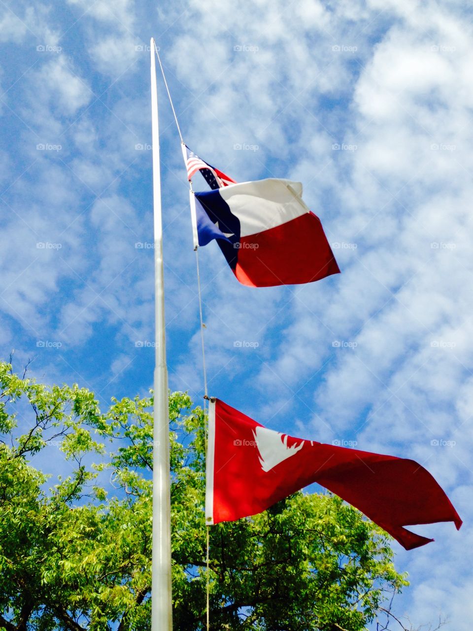 Flagpole to the sky!. Look up the flag pole in a country town square.