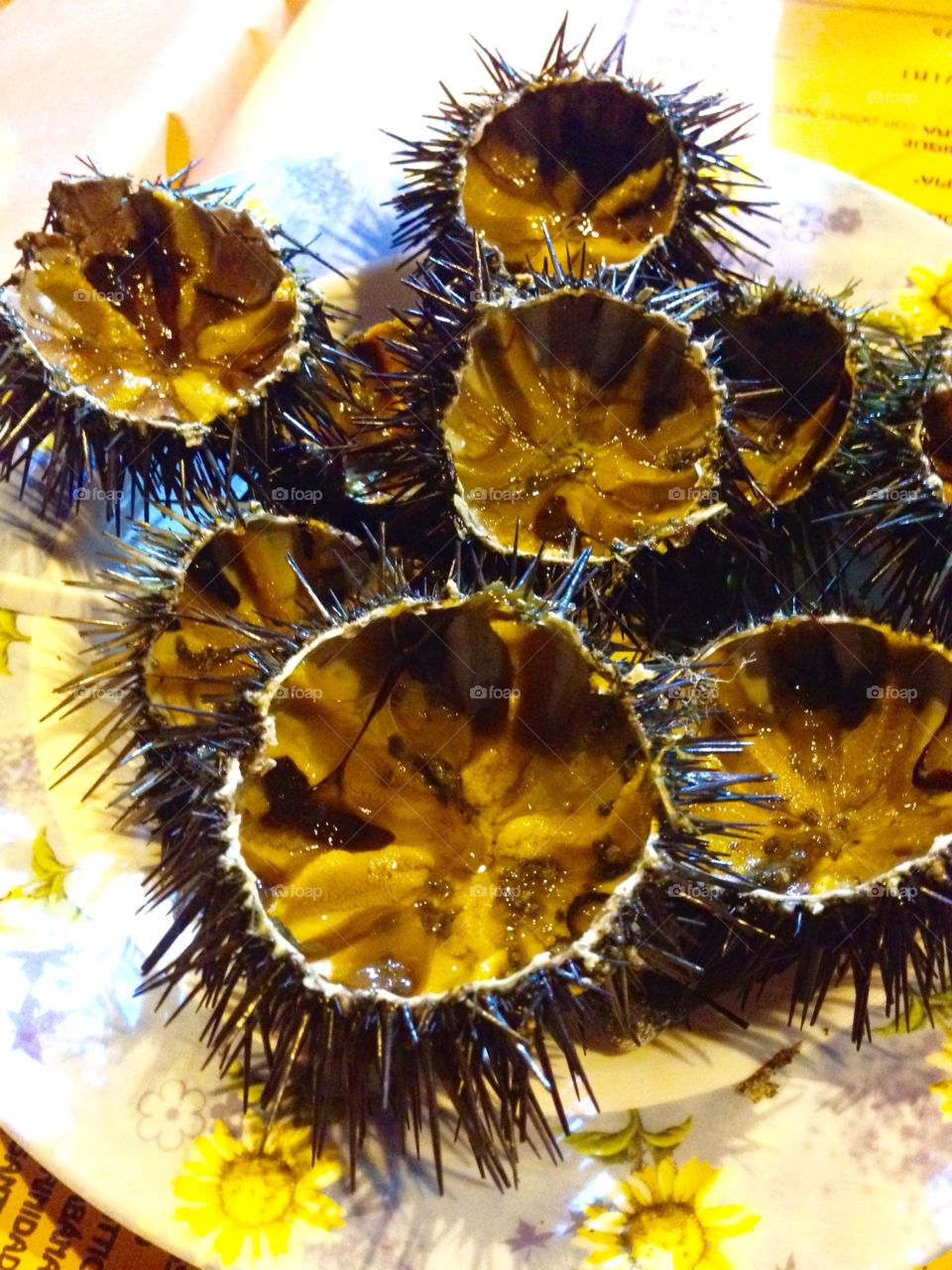 Sea urchins
