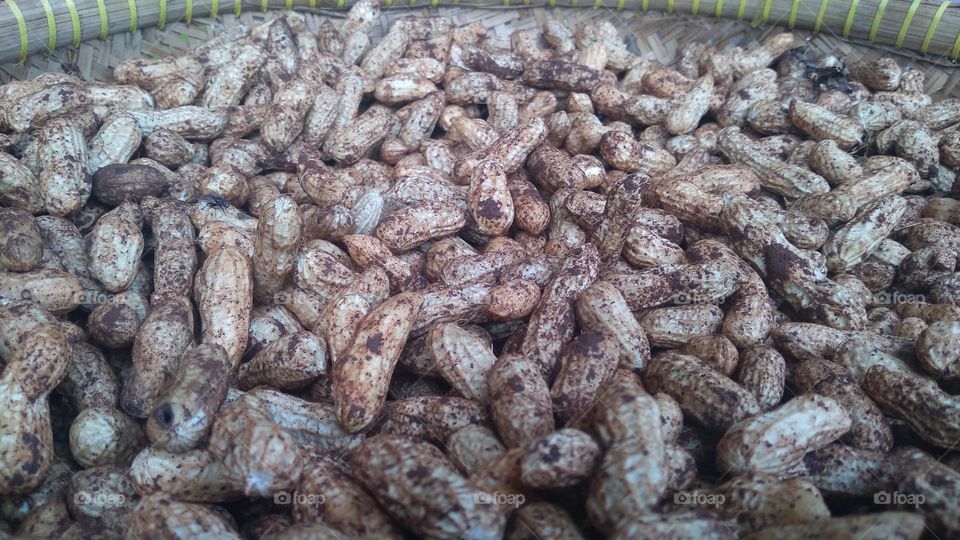 Peanuts being dried in the sun for cooking purposes