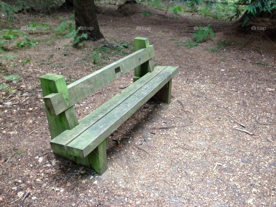 Forest bench