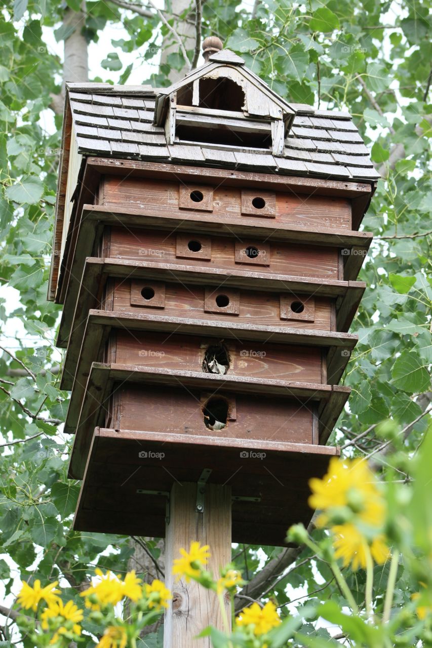 Bird house.