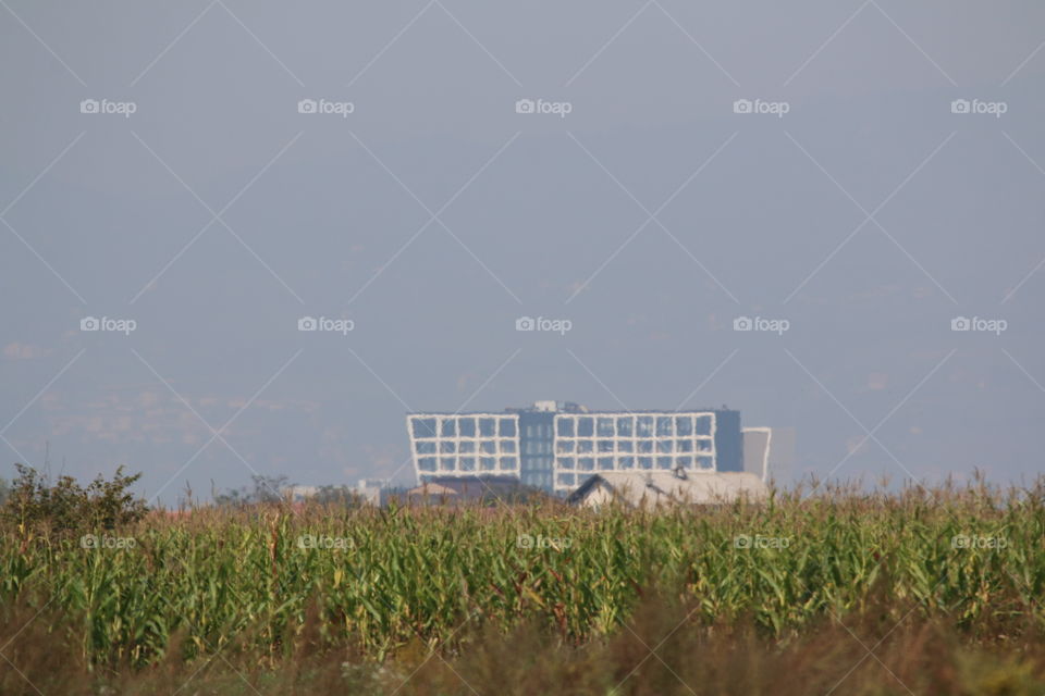 Agriculture, Farm, No Person, Sky, Field