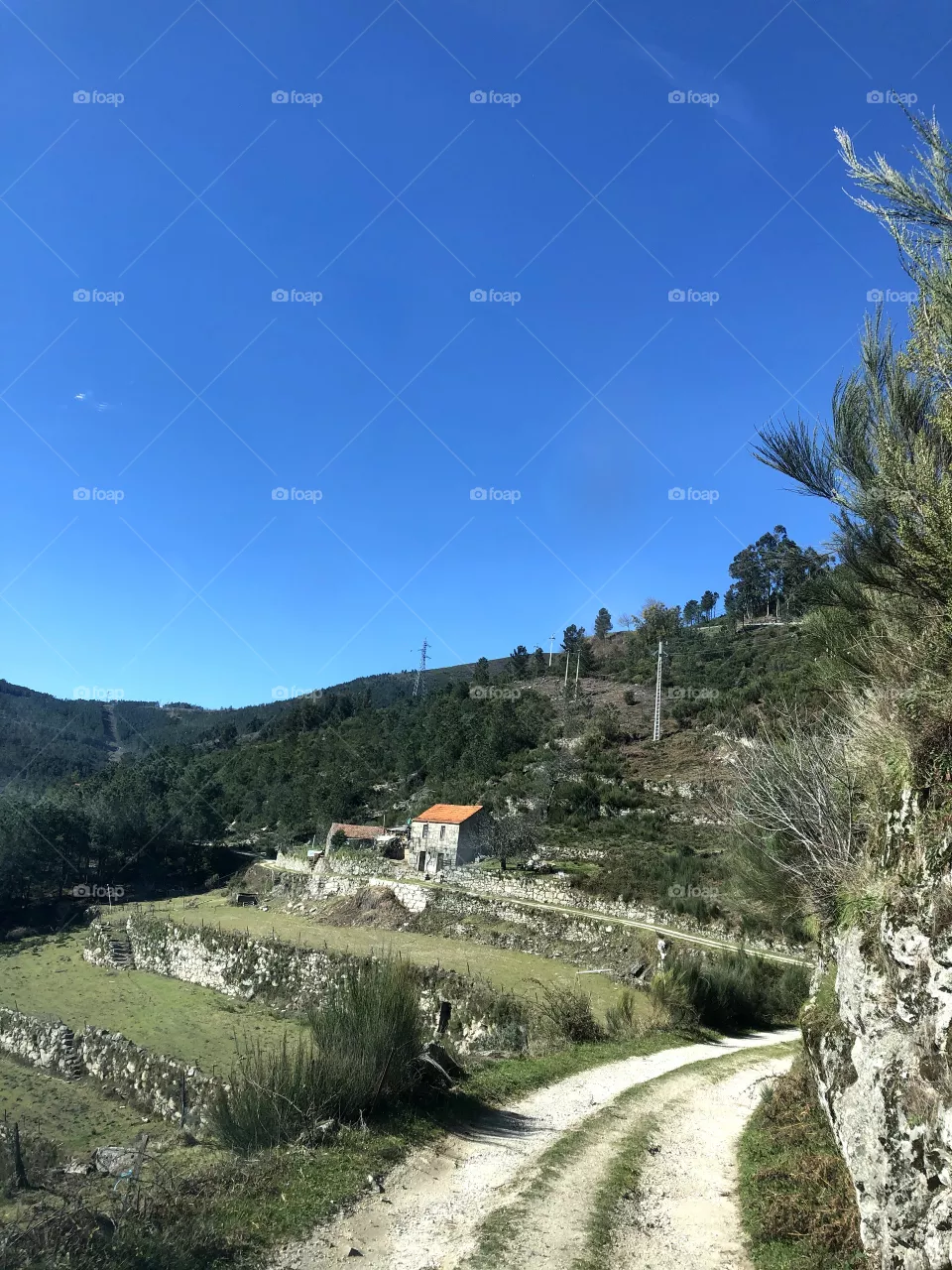 Village