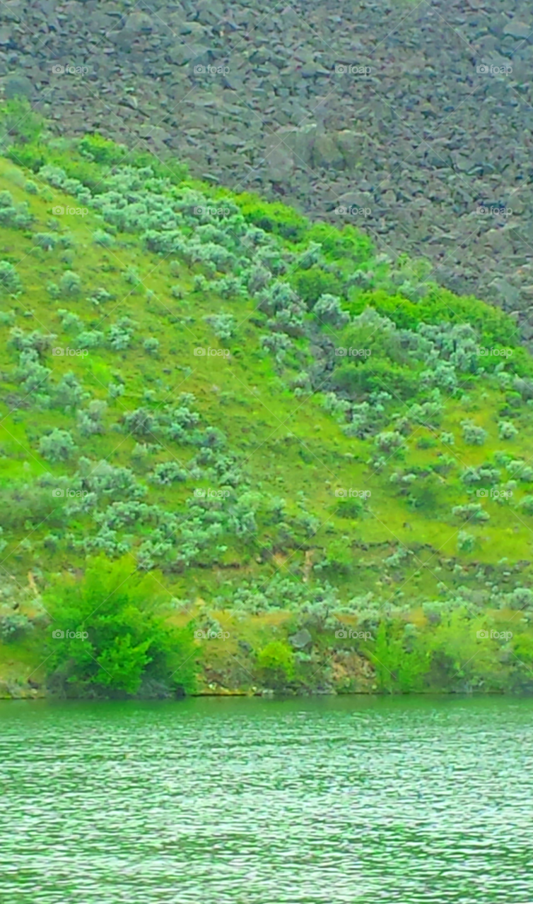 Lucky Peak Lake