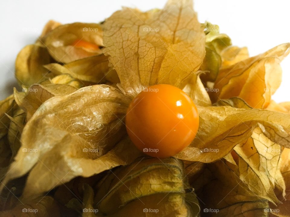 Close up of cape gooseberries, commonly referred to as physalis