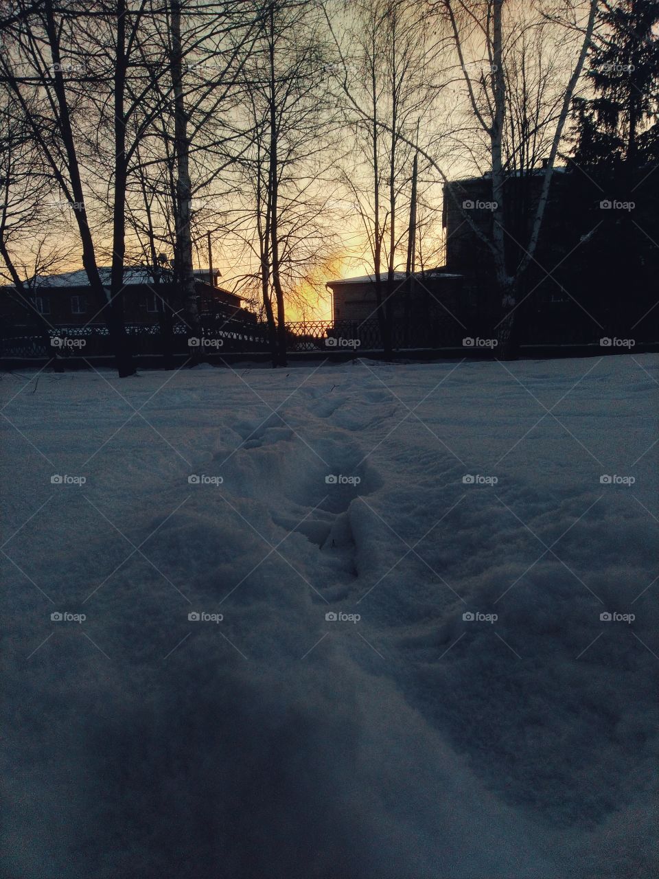 sunset in the city. winter.