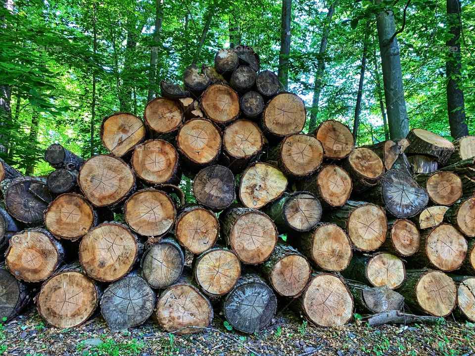 Piled up of wood