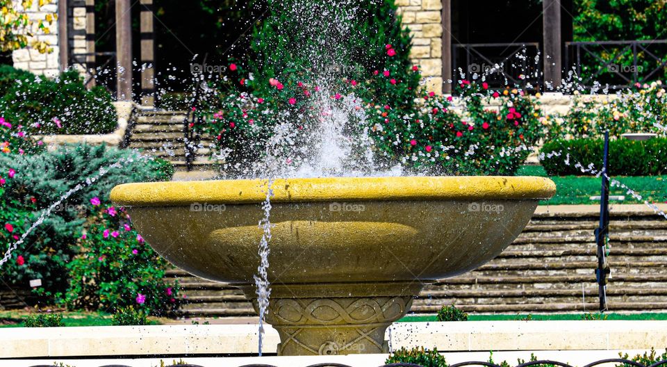 fountain at Loose park