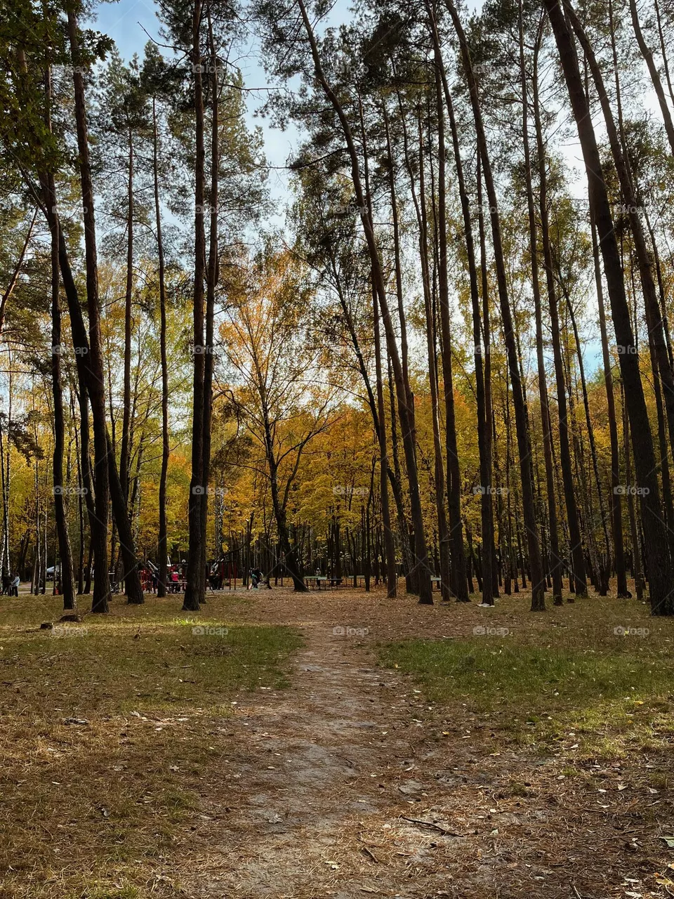 Ukraine 