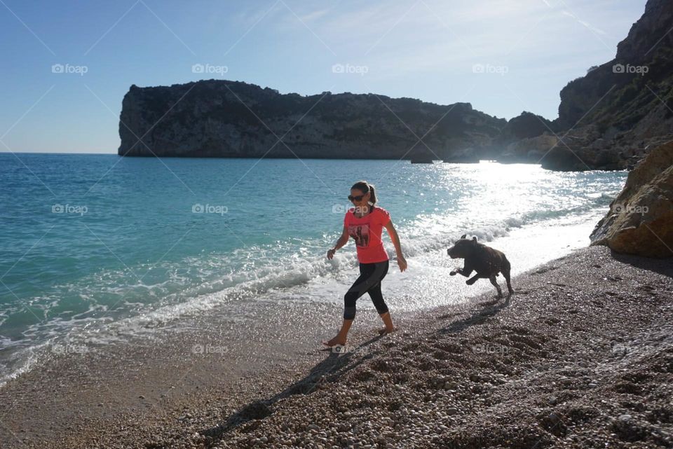 Beach#sea#dog#human