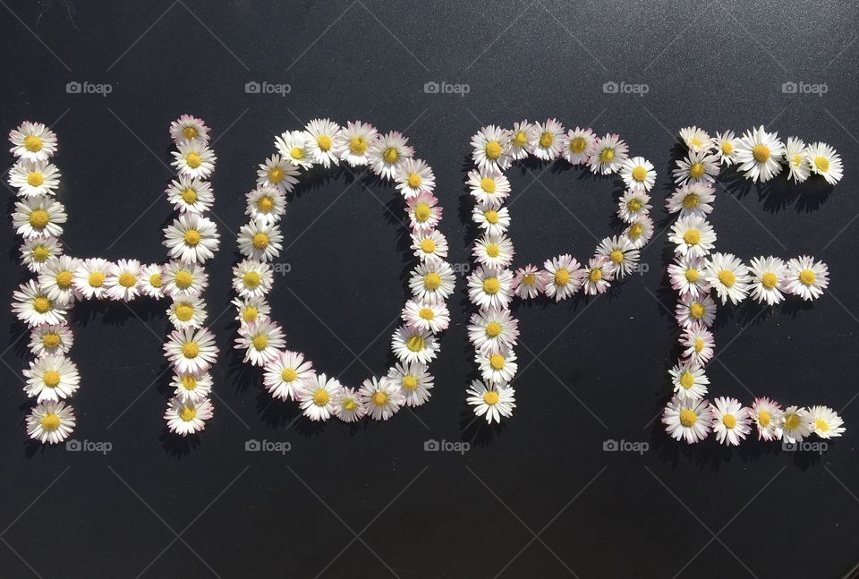Hope message written with daisies