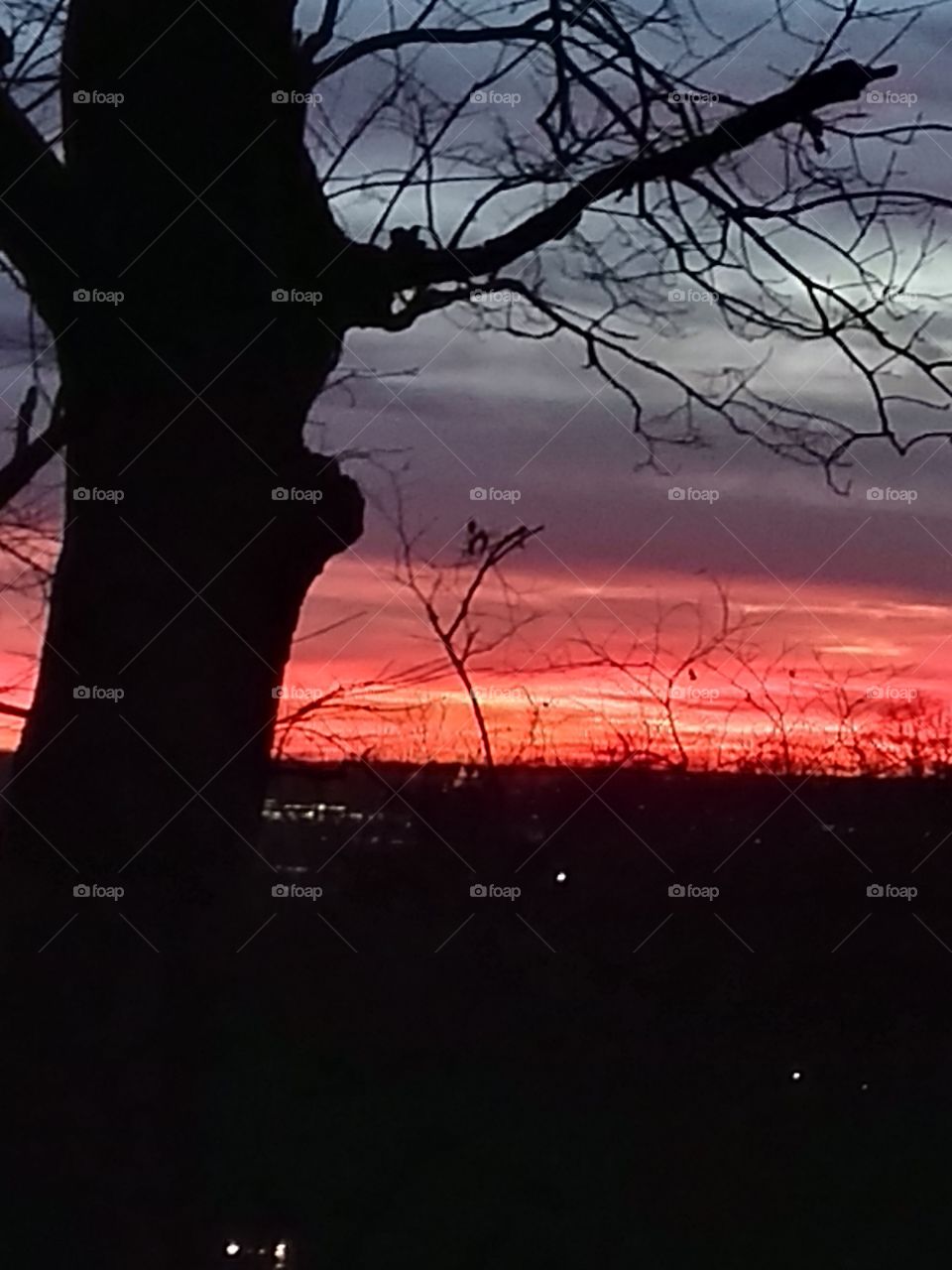 Unfiltered, beautiful, lovely sunset with trees