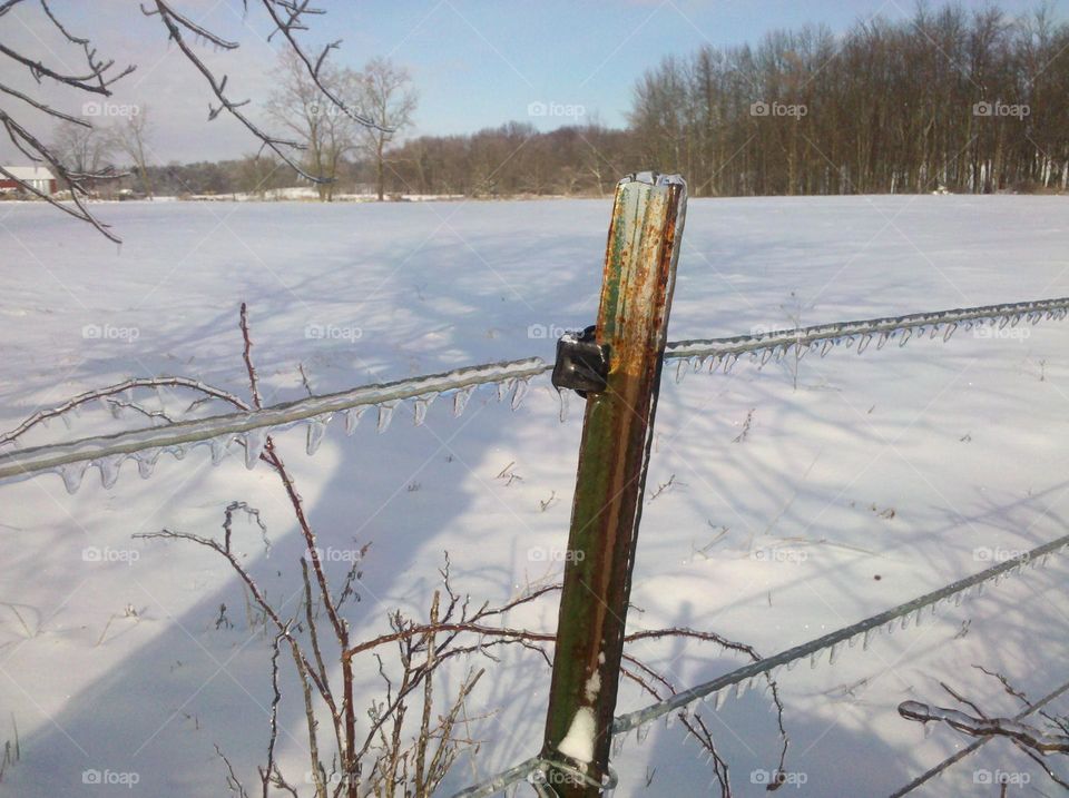 ice coating a fence í