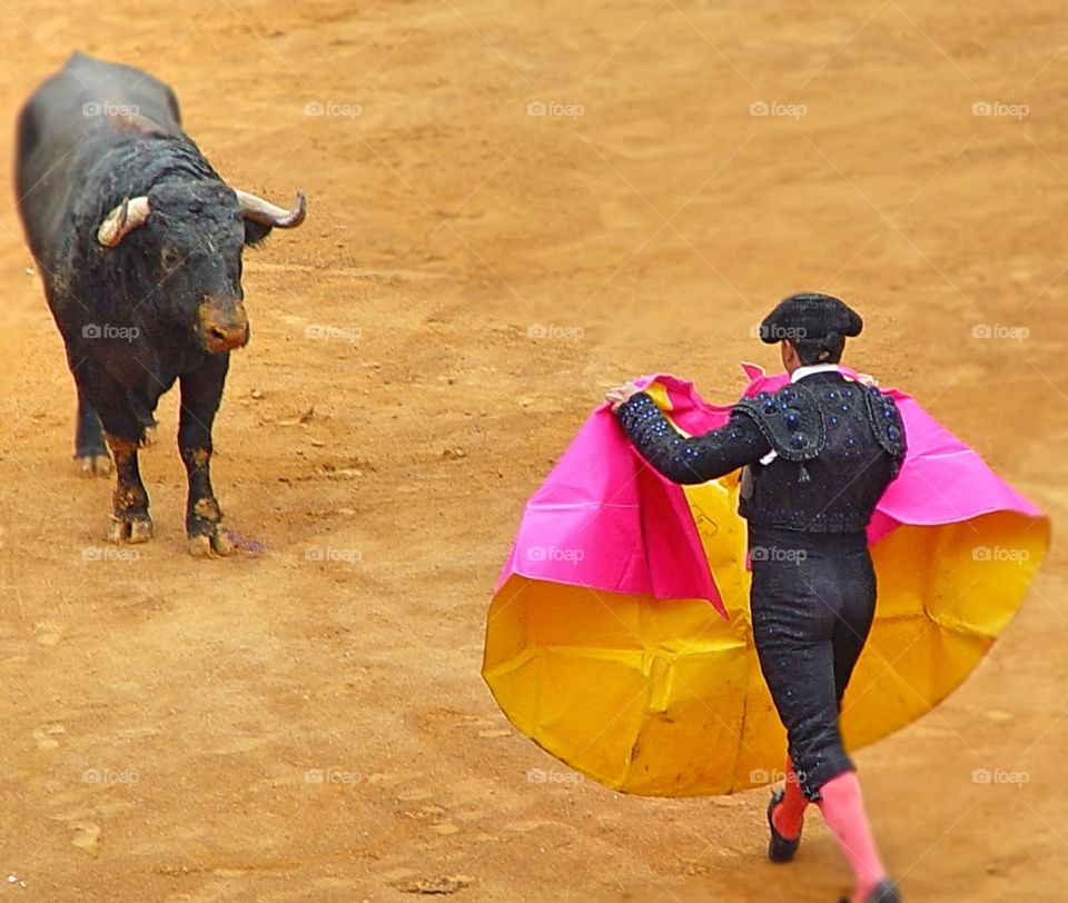 Matador