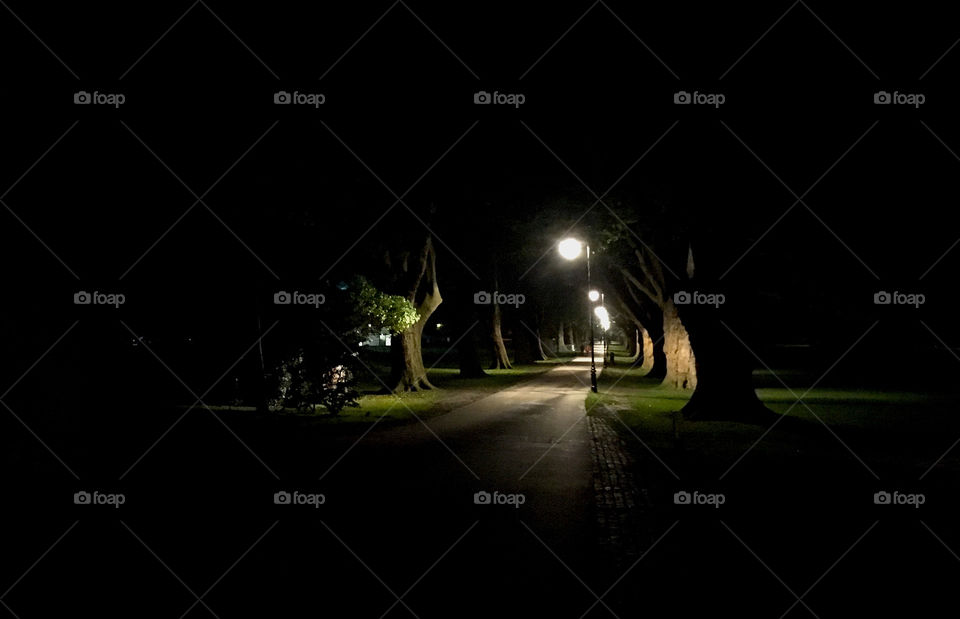 Pathway in the darkness
