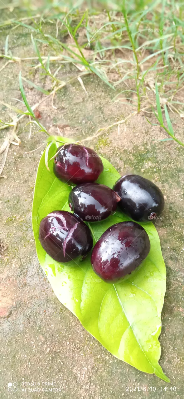 Black Berries