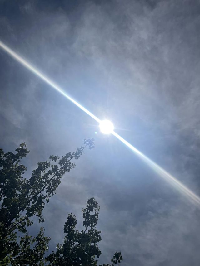 Sky’s, branches and else!!!