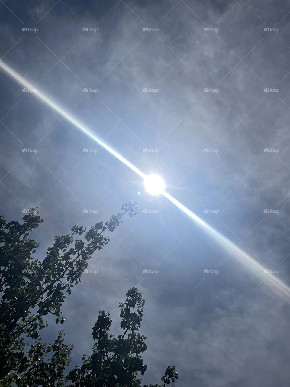 Sky’s, branches and else!!!