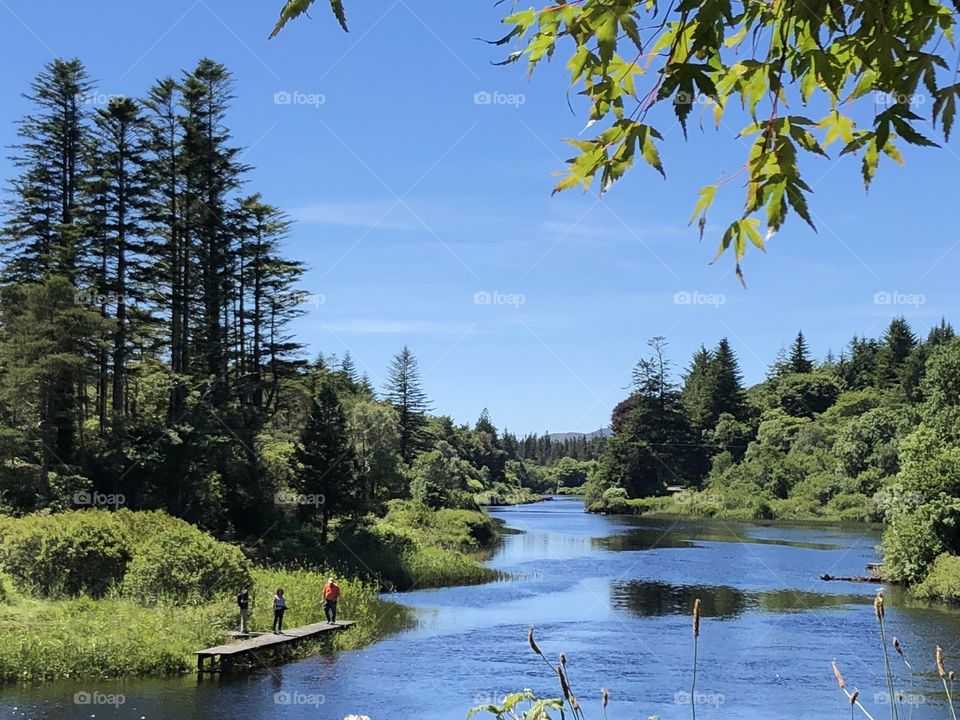 River Ireland 