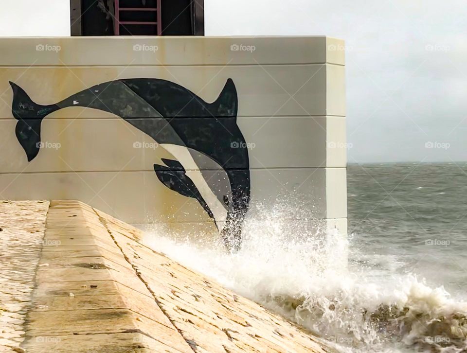 A dolphin painted on the wall below a bridge in Lisbon, appears to be diving into the surf