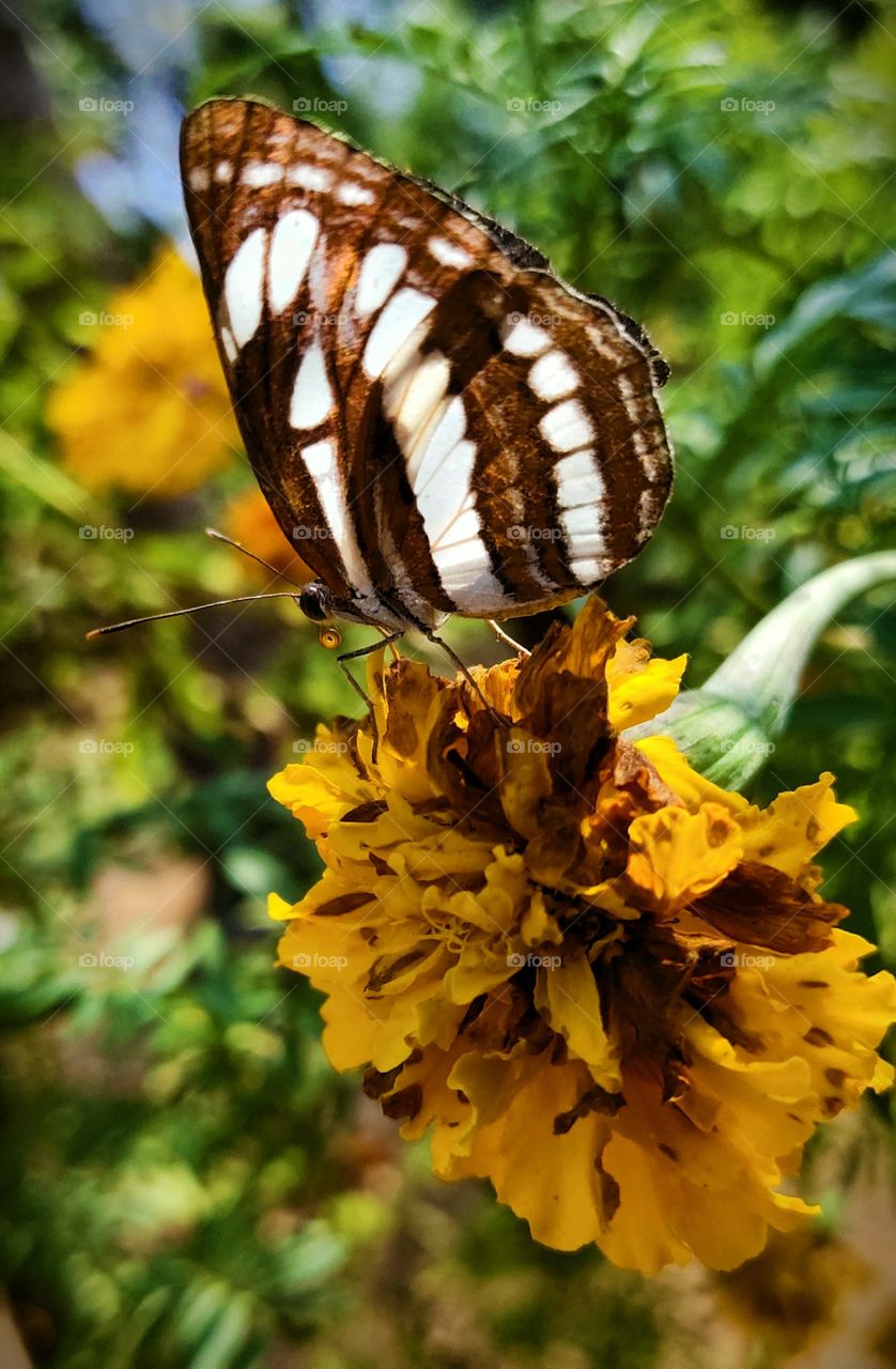 make your world more beautiful.🤗