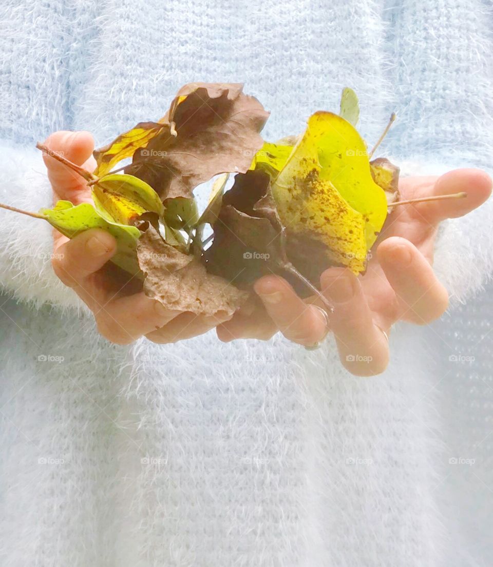 Handfuls of fall leaves 🍁