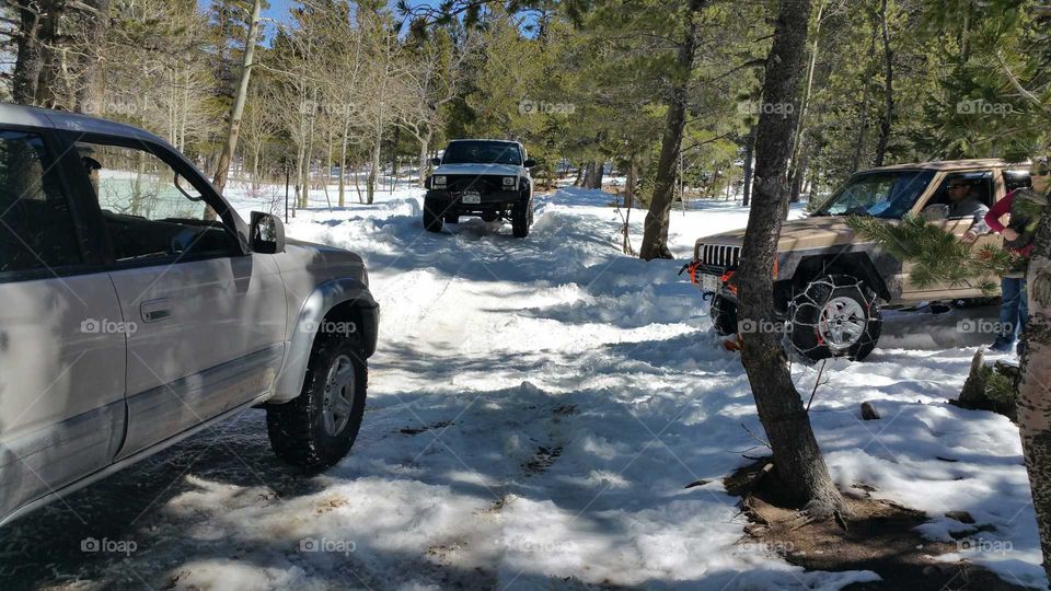 Playing in the Snow