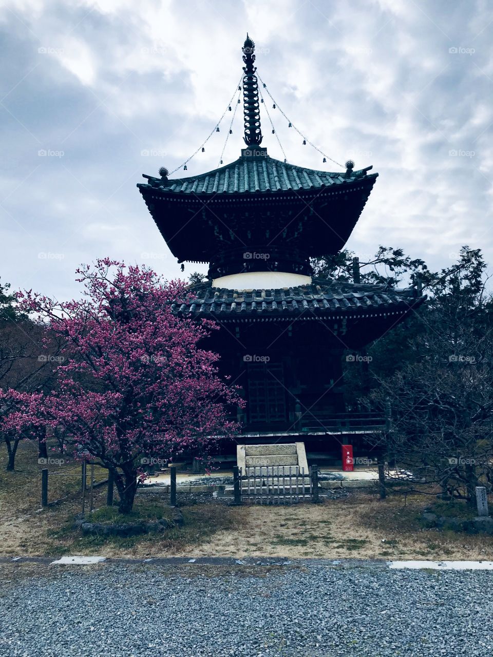 Seiryo-ji temple is a Jodo temple in Japan, Kyoto known as the Saga-no-shaka-do. Seiryo-ji was originally a mountain villa for Toru of Minamoto, who is said to have served as the model for the famous Tale of Genji’s main character, Genji. 