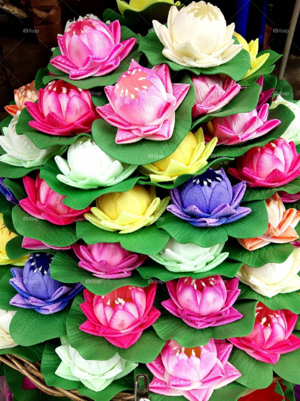 Colorful Lotus at JJ market