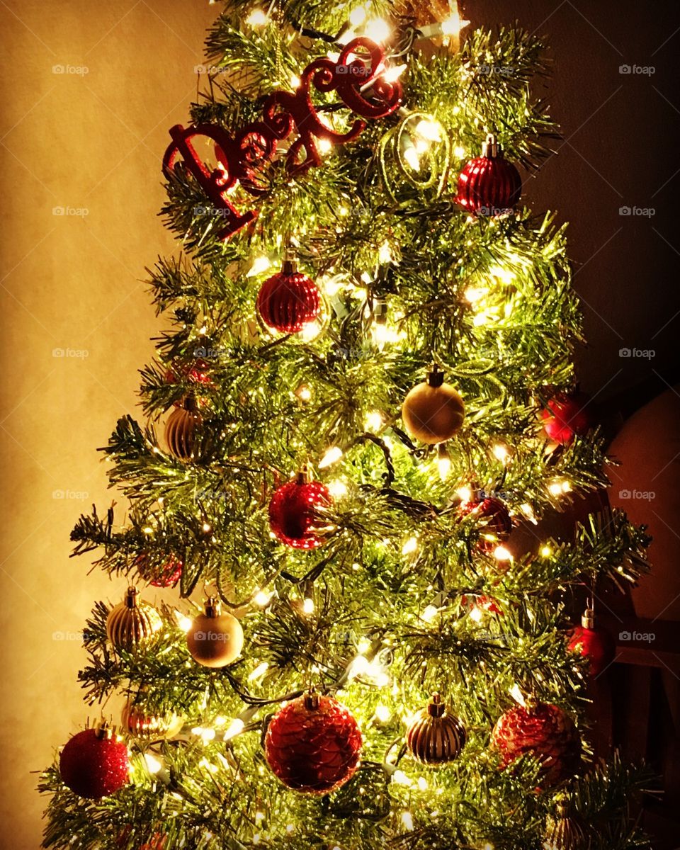 Lighting the annual Christmas peace tree!